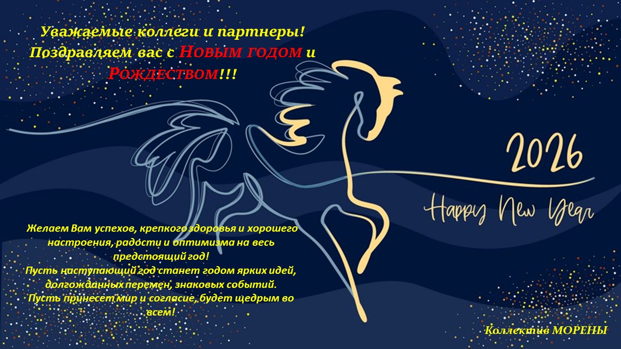 Новогоднее поздравление